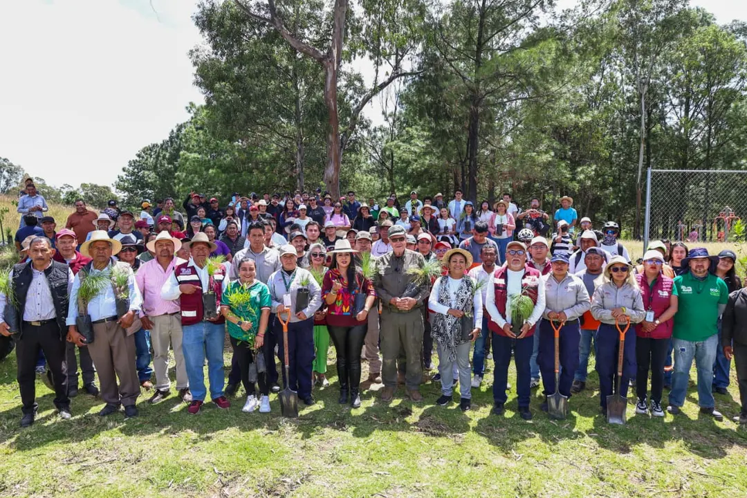 Reforestación en Cerro Zapotecas