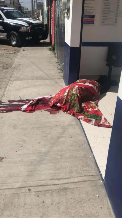 Apuntes Sobre la Interminable (Y Cada Vez Más Salvaje) Puebla Roja