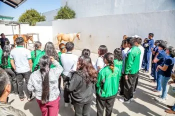 Fomenta SMDIF Puebla inclusión laboral en el marco del Día Internacional de la Discapacidad