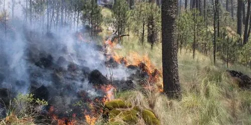 Reportan 10 incendios forestales activos en igual número de municipios
