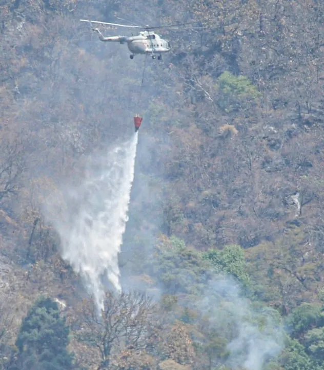 Incendio forestal