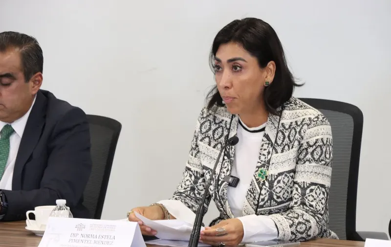 norma-estela-pimentel-mendez