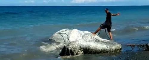 Nadie sabe qué es esta extraña masa flotante que ha aparecido en las costas de Filipinas