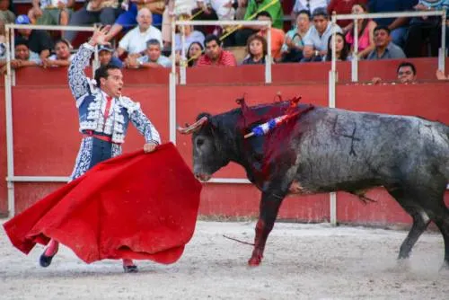 PVEM presenta iniciativa para prohibir las corridas de toros