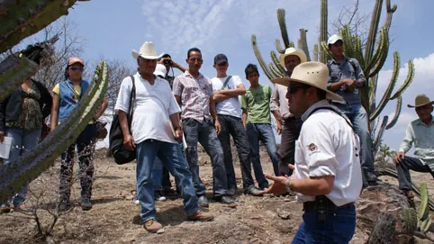 Intercambio de experiencias entre UMAS de la Mixteca poblana y de Oaxaca