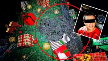 Detienen al Grinch de Zapopan, ¡intento quemar un árbol de Navidad monumental!