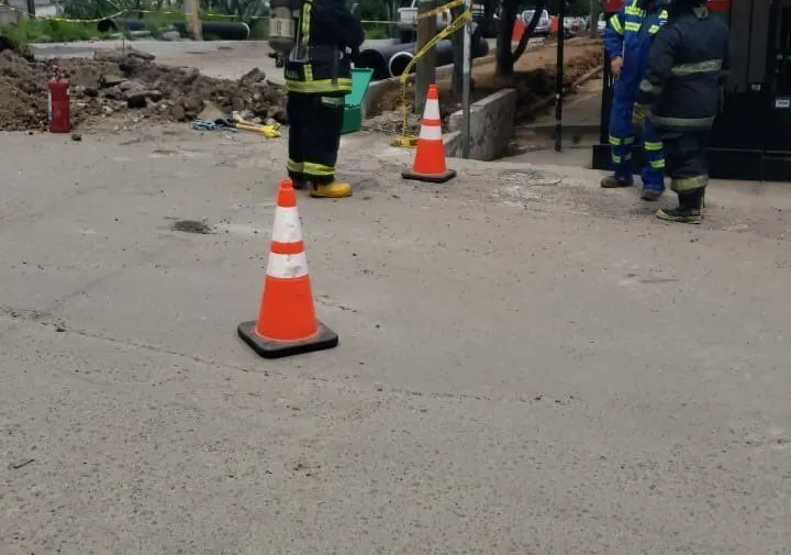 Imagen del artículo