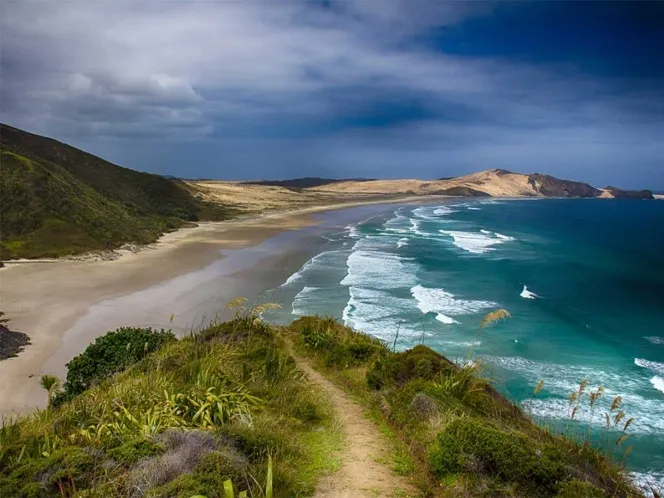 Sismo del Pacífico pone alerta de tsunami para Australia y Nueva Zelanda