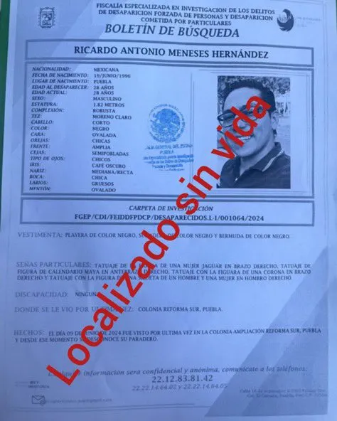 Imagen del artículo