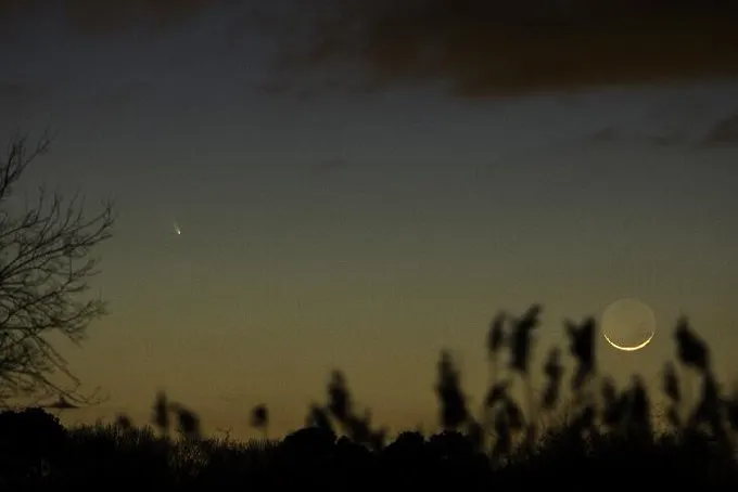 Cometa Panstarrs