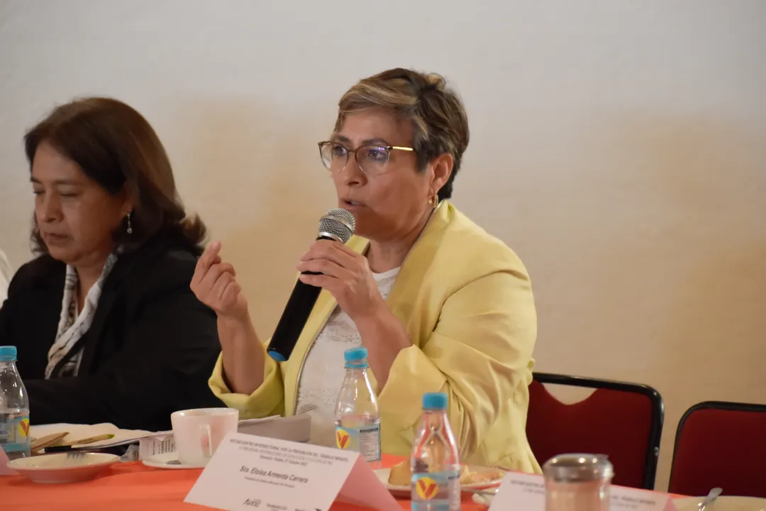 Presenta SIPINNA Puebla acciones en materia de prevención del trabajo infantil