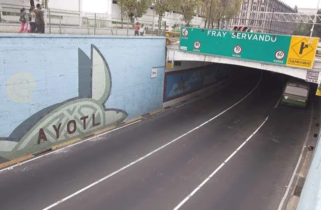 Causa molestia el retiro del mural de las tortugas en el DF