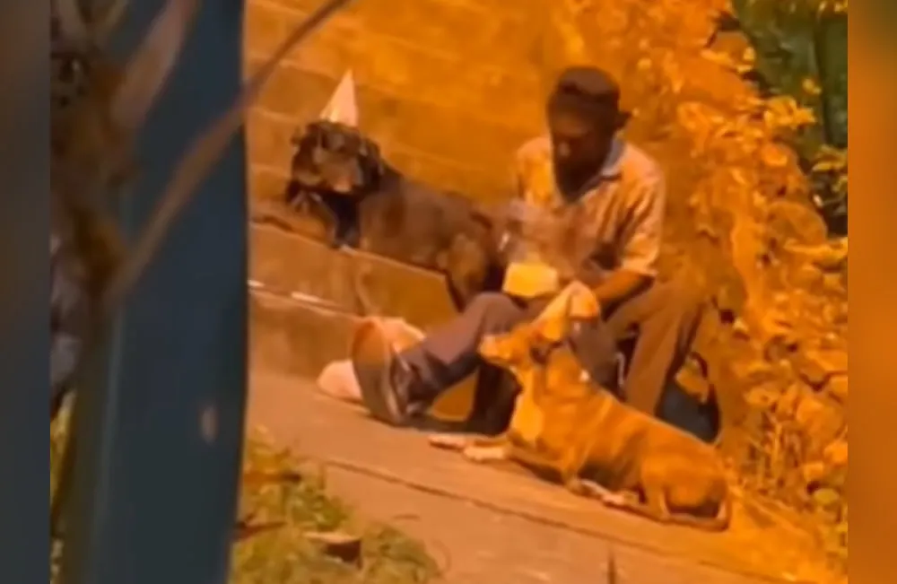 Hombre en situación de calle celebra cumpleaños con sus perritos