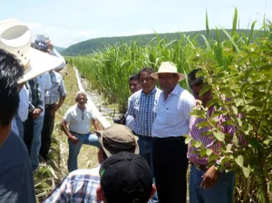 Inician trabajos para concretar compromiso de EPN con cañeros poblanos