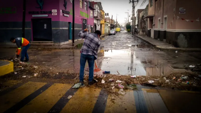 Imagen del artículo