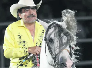 Estrellas apagadas en 2015