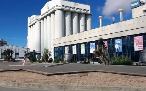 Grupo Modelo suspenderá producción y venta de cerveza a causa del Covid-19