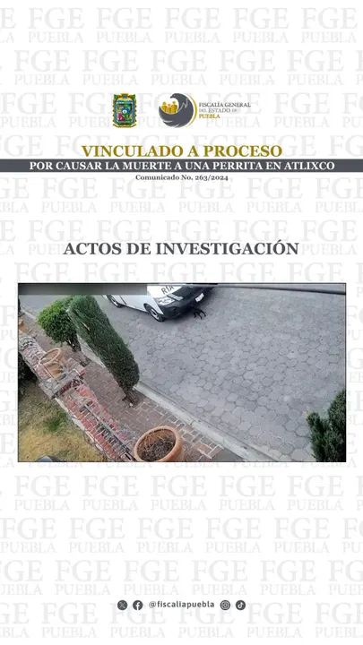 Fiscalía de Puebla vincula a proceso a conductor por crueldad animal tras atropellar a una perrita