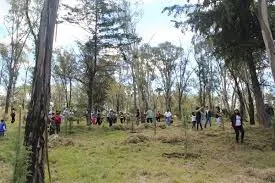 Planta SDRSOT 2 mil 500 árboles en Amalucan
