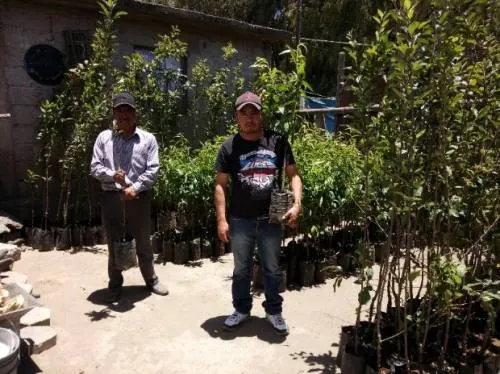 Granjas Carroll dona árboles frutales en proyecto productivo