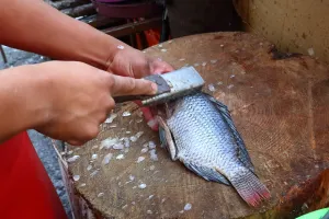 Si pagan, locatarios podrán volver al Mercado de Mariscos