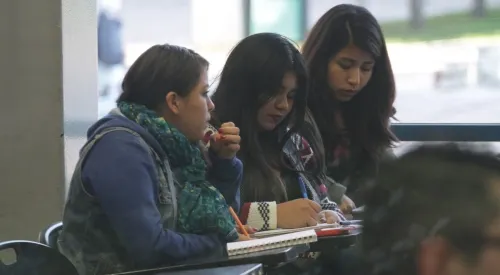 Jóvenes que ingresan a la universidad pública presentan problemas de comprensión lectora