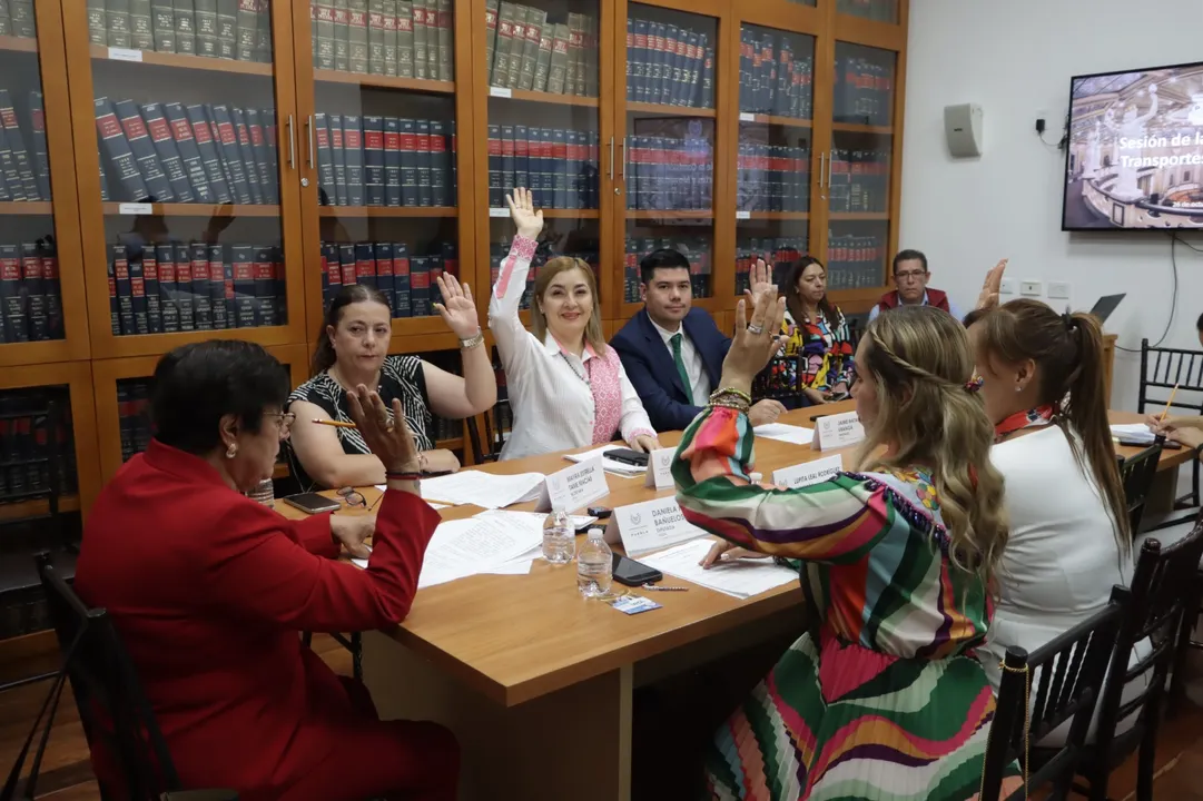 Comisión de Transportes y Movilidad