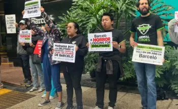 Clausuran definitivamente el delfinario del hotel Barceló en Riviera Maya por maltrato animal