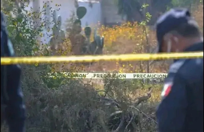 Homicidio autopista Tlaxco–Tejocotal
