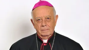 El papa Francisco designa 15 nuevos cardenales, incluyendo a un mexicano