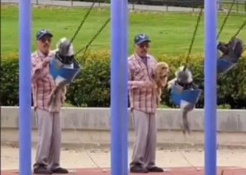 Captan a abuelito columpiando a sus perritos en un parque y enternece a internautas