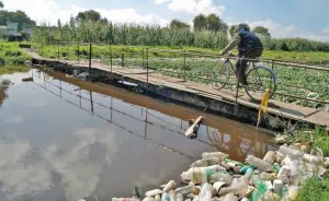 Se duplica arsénico en agua, según estudio