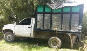 Sin apoyo federal, captura SSP a chupaductos en Tecamachalco