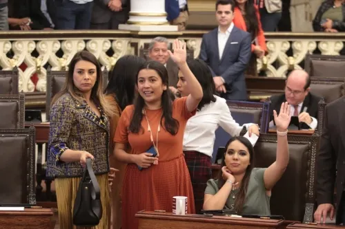 Aprueba Congreso reformas para prohibir la mutilación a mascotas con fines estéticos