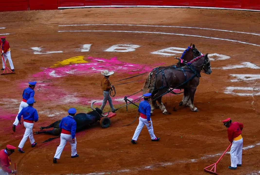 Plaza - Toros - Suspendidas