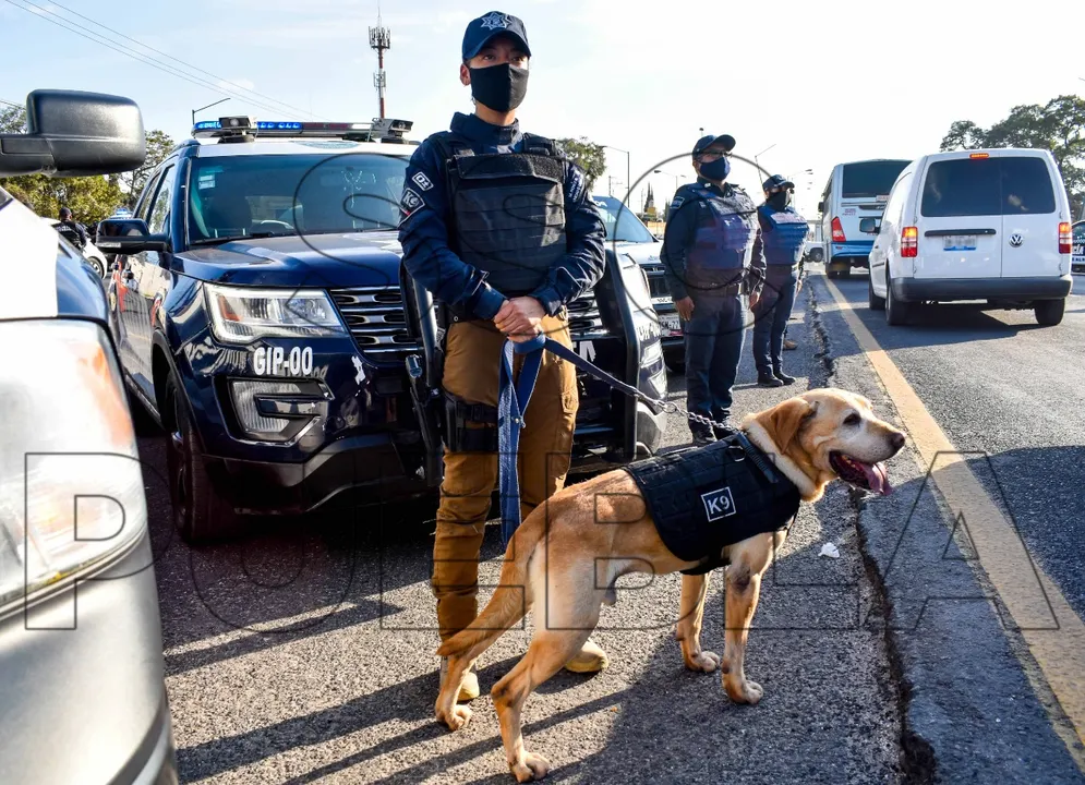 Reportó policía municipal de Puebla la detención de 105 personas