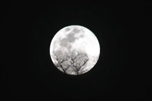 Este martes se podrá apreciar Superluna de nieve