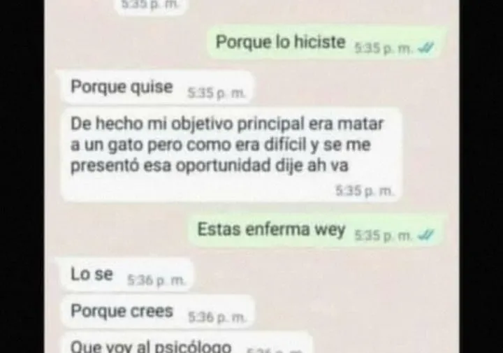 Vanessa asesinó a un pero