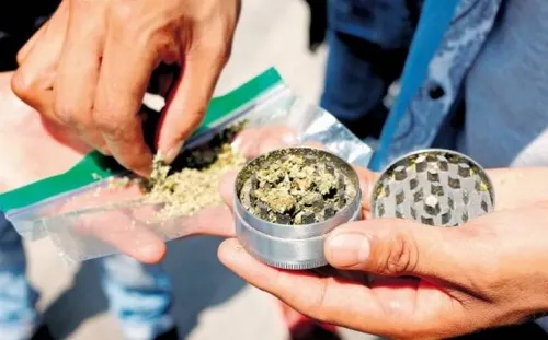 Crisis económica incrementará uso de drogas en México: ONU