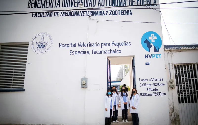 buap-hospital-pequenas-especies-tecamachalco