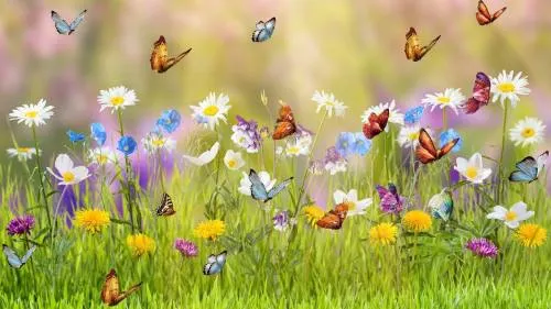 Curiosidades sobre la primavera que seguro no conocías