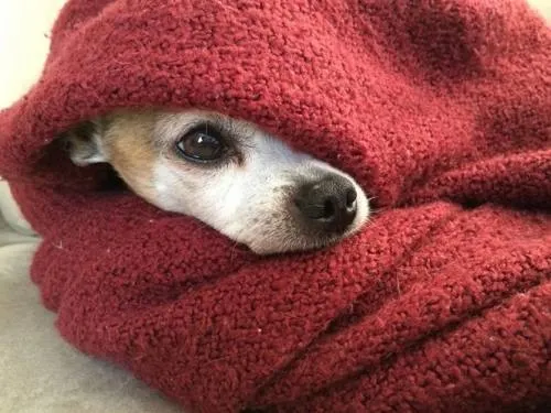¡A abrigarse! Bajarán las temperaturas en el país