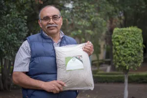 Científicos desarrollan plaguicida botánico a base de chicalote
