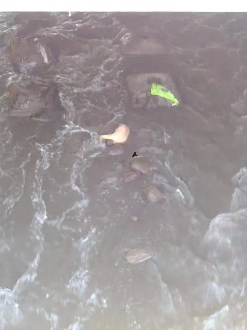 Encuentran cadáver  flotando en el río Atoyac,  a la altura de la unidad habitacional Volkswagen