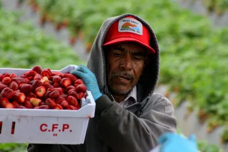 Más de 100 mdp destinará SEDATU a proyectos productivos del campo poblano