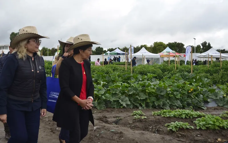 buap-15-expo-horticola