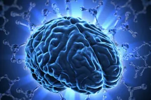 Necesario divulgar neurociencias para afrontar los retos del siglo XXI
