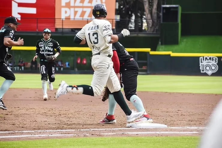Pericos de Puebla