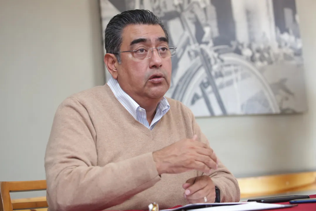 El Burro que Tocó la Flauta y la Trama de Impugnación en Contra de Sergio Salomón
