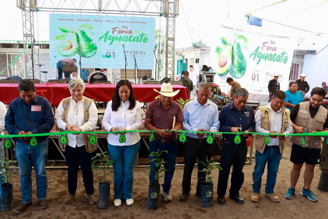 Feria del Aguacate